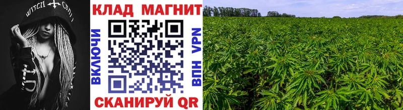 Псилоцибиновые грибы Елабуга