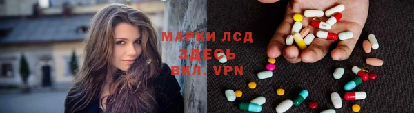 apvp Белокуриха