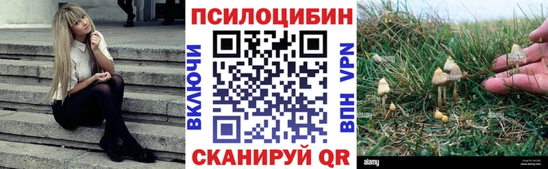 Галлюциногенные грибы Psilocybine cubensis  как найти   KRAKEN ссылка  Елабуга 