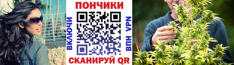 Марихуана VHQ  мега маркетплейс  Елабуга  цены  